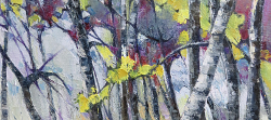 Silver Birch Study | 2016 | Oil on Canvas | 51 x 36 cm